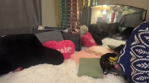 Snapshot of danidragon69 chatting on 02-05-25, 08:32 Dani Dragon online show from 02-05-25, 08:32