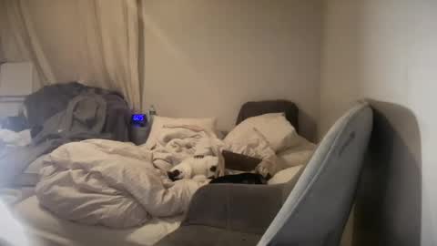 daniellealexa online show from 06-27-26, 09:58