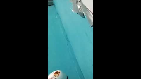 danipas_30 online show from 02-12-26, 05:57