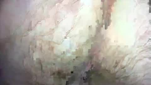 Snapshot of dankz4two0 chatting on 12-21-24, 01:32 dankz4two0 online show from 12-21-24, 01:32