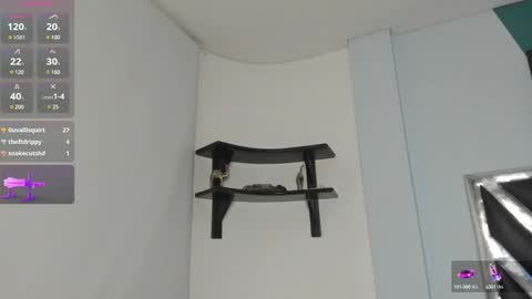 Snapshot of dannadom chatting on 12-19-24, 06:56 Danna online show from 12-19-24, 06:56