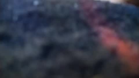 Snapshot of dannowisc chatting on 02-20-26, 04:09 dannowisc online show from 02-20-26, 04:09