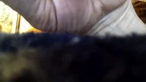 dannowisc online show from 04-05-26, 03:26