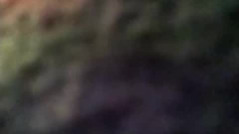 dannowisc online show from 04-08-26, 02:55