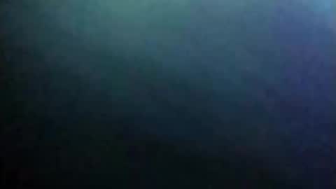 dannowisc online show from 06-04-26, 09:59