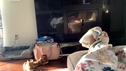 Snapshot of dannyboy621 chatting on 11-02-25, 01:24 dannyboy621 online show from 11-02-25, 01:24