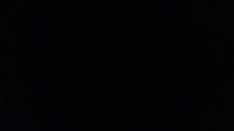 dantehellsingx online show from 11-29-25, 02:25