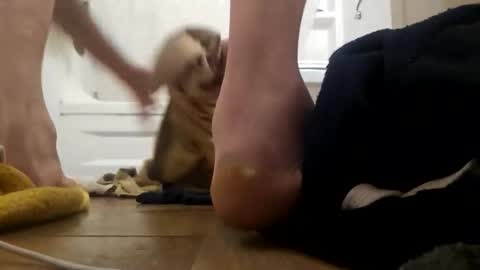 Snapshot of danydevil chatting on 11-25-25, 04:56 danydevil online show from 11-25-25, 04:56