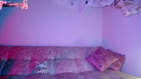 Dark online show from 10-30-25, 11:44