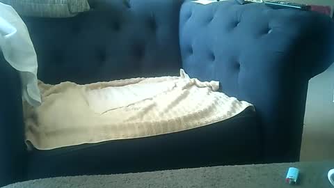 DarkAngel online show from 01-08-25, 09:01