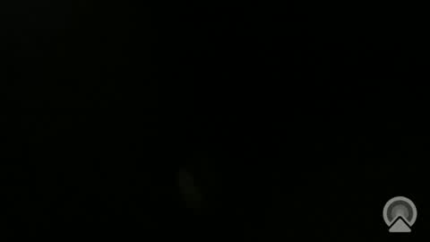 daveeveline online show from 11-11-25, 12:38