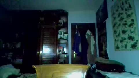 Snapshot of david33333333 chatting on 03-09-25, 04:33 david33333333 online show from 03-09-25, 04:33