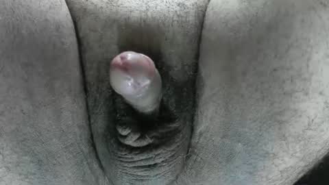 Snapshot of davidgoid911 chatting on 06-28-26, 12:55 DavidGoid FunOnly online show from 06-28-26, 12:55