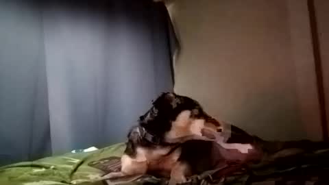 Snapshot of davidjose1995 chatting on 12-29-24, 09:30 Juice cock online show from 12-29-24, 09:30