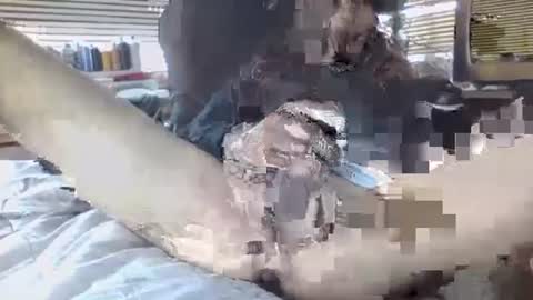 Your daddy online show from 09-30-25, 06:35