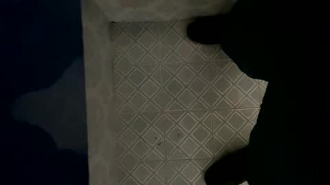 Snapshot of davzsoher chatting on 01-06-25, 08:07 davzsoher online show from 01-06-25, 08:07