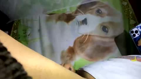 Snapshot of davzsoher chatting on 01-10-25, 02:04 davzsoher online show from 01-10-25, 02:04