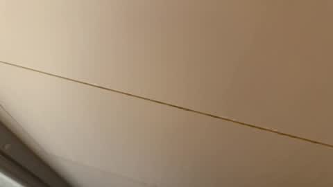 Hornybear online show from 01-15-26, 07:02