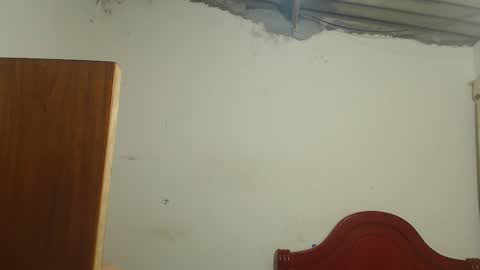 Dylon online show from 11-09-25, 09:29