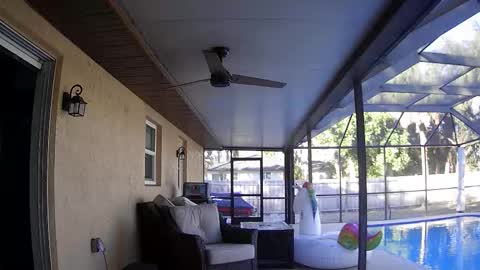 Snapshot of dazeydo chatting on 01-07-26, 08:55 Dazey online show from 01-07-26, 08:55