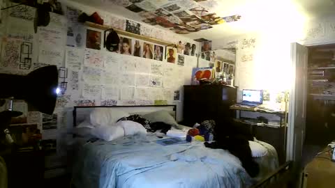 dbeamon92 online show from 03-08-26, 02:04