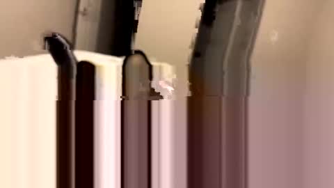 dbikes182 online show from 01-03-25, 09:58