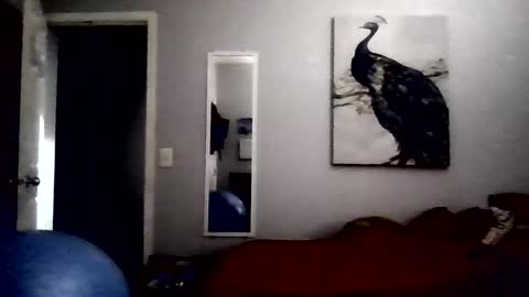 Snapshot of dcoester chatting on 05-23-26, 01:55 dcoester online show from 05-23-26, 01:55