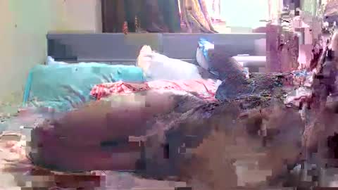 Snapshot of debbyslatter chatting on 02-21-25, 09:13 debbyslatter online show from 02-21-25, 09:13