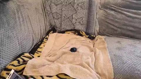 deepandwet86 online show from 02-28-26, 10:05