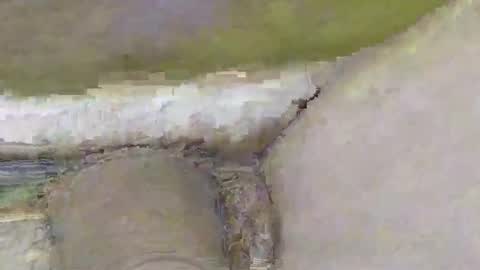 Snapshot of deepdiver3366 chatting on 11-02-25, 02:08 Dive Deep online show from 11-02-25, 02:08