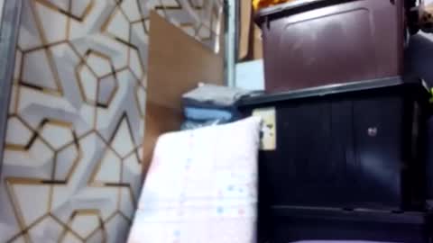 deliciousgirl975840 online show from 06-01-26, 07:15
