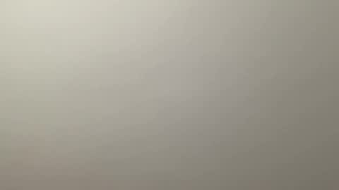 Snapshot of deliverysmile chatting on 12-19-24, 12:34 Delivery online show from 12-19-24, 12:34