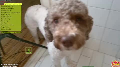 Yana online show from 04-14-26, 05:30