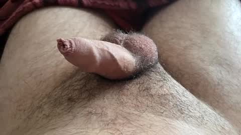 LilRoach online show from 11-16-25, 03:28