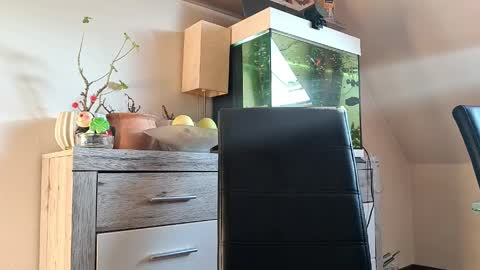 Denise and Brad online show from 04-07-26, 04:40