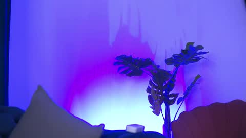 denisedevilles online show from 05-10-26, 08:47