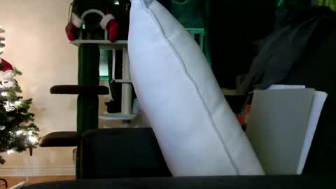 Snapshot of deroseblack chatting on 12-15-24, 12:18 deroseblack online show from 12-15-24, 12:18