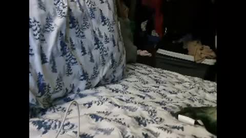 Snapshot of deroseblack chatting on 01-13-25, 04:50 deroseblack online show from 01-13-25, 04:50