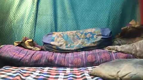 desi_boy799417 online show from 03-23-26, 09:46