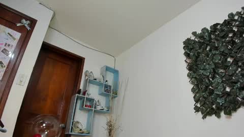 Snapshot of destinyhills_ chatting on 04-01-26, 12:28 Destiny online show from 04-01-26, 12:28