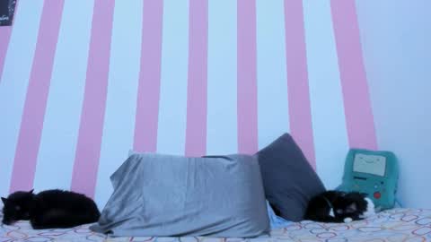 Johana online show from 03-17-26, 02:16