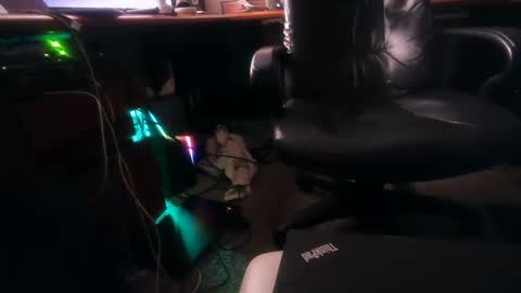 Snapshot of dfwgonewrong chatting on 02-04-25, 10:54 dfwgonewrong online show from 02-04-25, 10:54