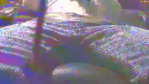 Snapshot of dfwgonewrong chatting on 11-03-25, 04:47 dfwgonewrong online show from 11-03-25, 04:47