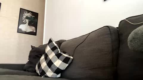 Snapshot of dhaliaa09 chatting on 11-03-25, 12:17 Dhalia online show from 11-03-25, 12:17