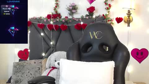 dharanisnisha online show from 02-20-26, 01:44