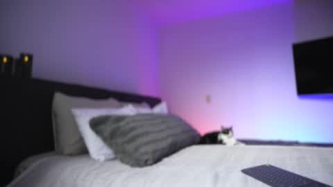 Diego online show from 11-26-25, 08:54