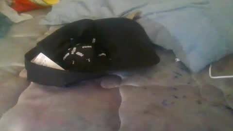 diamondeye112 online show from 12-23-25, 05:05