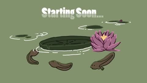 Snapshot of diana_smit_ chatting on 01-18-25, 02:55 diana online show from 01-18-25, 02:55