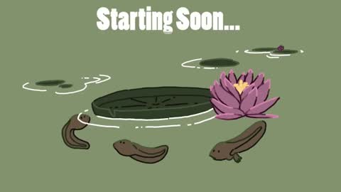 Snapshot of diana_smit_ chatting on 01-30-25, 08:31 diana online show from 01-30-25, 08:31