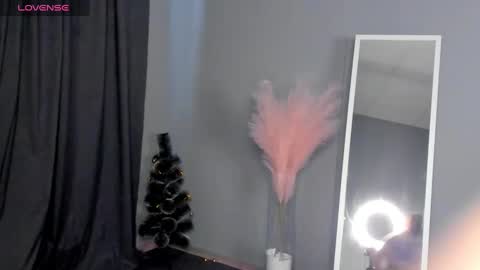 Snapshot of dianne_davis chatting on 01-30-25, 09:36 Dianne online show from 01-30-25, 09:36